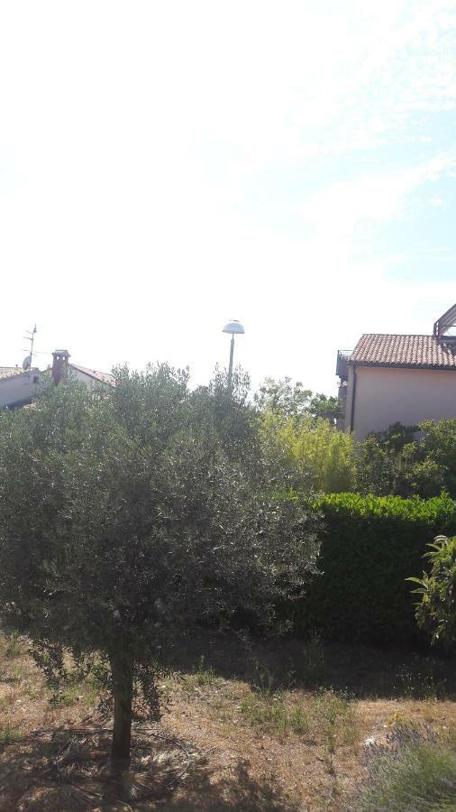 Apartment Radovan Poreč Exterior foto